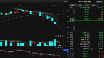慧球科技 事出反常必有妖，计算机软硬件销售及技术开发的警示与思考